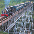 The Apple Express crossing a bridge, Eastern Cape