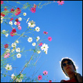 Cosmos, Free State