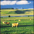 Farm near Balgowan in the Underberg region of KwaZulu-Natal