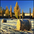 Farm near Fouriesburg, Free State