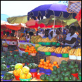 Fruit market near Thohoyandou in the Venda region of Limpopo