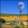 Farm in the Namaqualand region of the Northern Cape