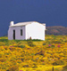 Gallery: SA's countryside