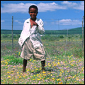 Xhosa boys with home-made wire cars, Eastern Cape