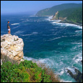 Skilderkrans on the Otter Hiking Tail, Tsitsikamma National Park, Eastern Cape