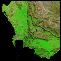 False-colour image of the Western Cape, with vegetation health indicated in green