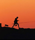 South African travel experiences