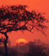 South African wilderness experiences