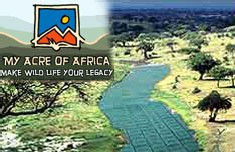 My Acre of Africa 