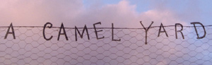 The Camel Yard fence