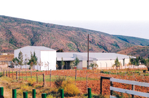 Zoar is ideally situated for organic seed production, given the Klein Karoo's dry climate