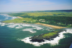 Wild Coast 
