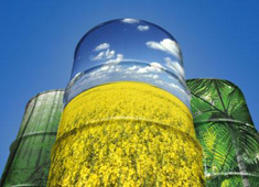 Biofuel 