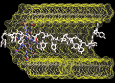 Nanotechnology 