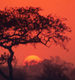 Gallery: South Africa's national parks