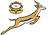 Springbok Supporters Club