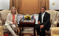 Danish backing for SA renewable energy