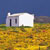 Gallery: South African countryside