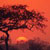 Gallery: South Africa's national parks