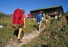 Backpackers