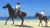 Horseback safaris in South Africa