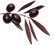 Prince Albert Town and Olive Wine 
Festival 