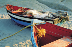 Fishing boats in Paternoster 