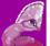Pink Loerie Mardi Gras