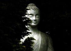 Five-metre-tall statue of Buddha at the Buddhist Retreat Centre 
