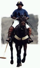 The SA Polo Association runs regular junior coaching clinics