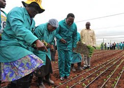 South Africa tackles poverty 