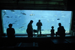 uShaka Marine World, Durban uShaka Marine World, Durban