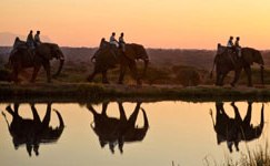 South Africans, explore your country! 