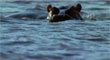 Video: Photographer Mattias Klum visits the iSimangaliso Wetland Park