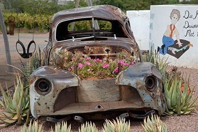 Roadside stall Northern Cape
