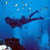 Scuba diving in South Africa