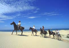 Horseback safaris and trails in South Africa Horseback safaris and trails in South Africa