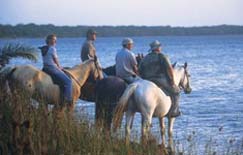 Horse riding at Lake St Lucia Horse riding at Lake St Lucia