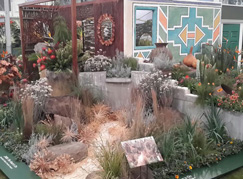  kirstenbosch, sanbi, south African national biodiversity institute, royal 
horticultural society, Chelsea flower show