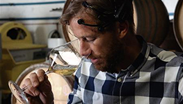 neurowine peter walser wine, neuroscience, neurowine, neural sense, blankbottle, south africa, peter walser neurowine peter walser wine, neuroscience, neurowine, neural sense, blankbottle, south africa, peter walser