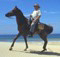 Horseback safaris 
in South Africa