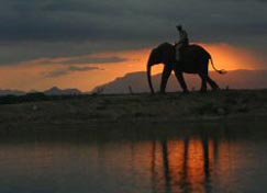 Elephant-back safari at camp 