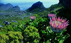 heritage site expands exapnds, unesco, heritage site