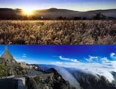 Panoramic scenes from the Addo Elephant and Cape Peninsula national parks 