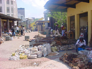 Traditional remedies on sale at the
Faraday Market