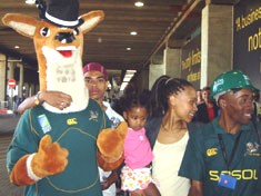 Springbok rugby fans at OR Tambo International Airport 