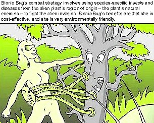 From Working for Water's Weedbuster comic