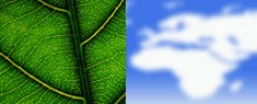 Towards sustainable development in Africa 
