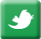 Icon-twitter
